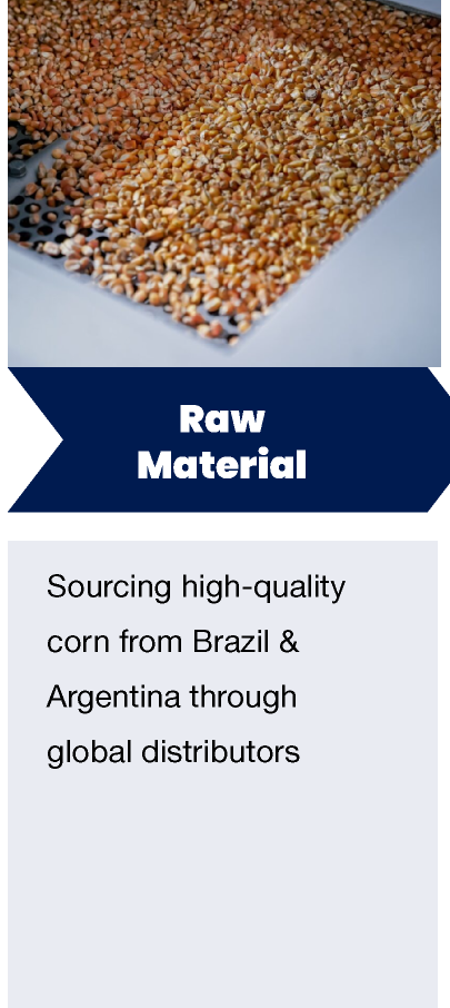 Corn-Plant-Overview_12.png