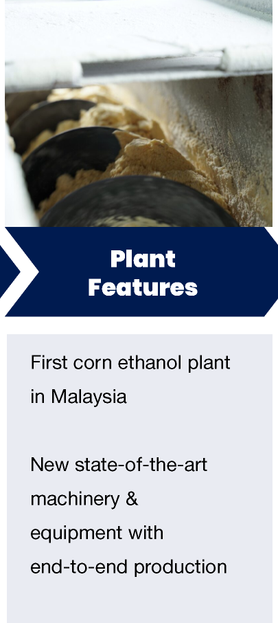 Corn-Plant-Overview_13.png