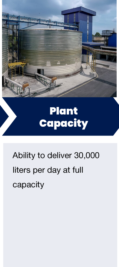 Corn-Plant-Overview_14.png